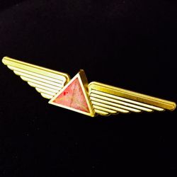 Delta Air Lines - Finally got my wings...
