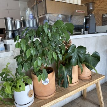 Vacancy Coffee - Coffee & Tea Near Me - Newport Beach, California