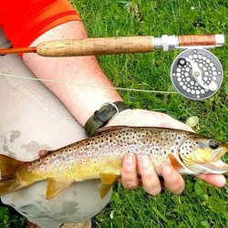 North Rivers Lodge - Typical of the resident Brown Trout at North Rivers Lodge