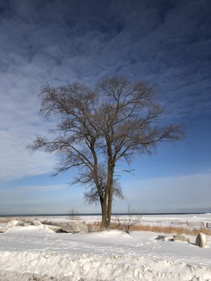 The Kenosha Beach House on Simmons Island by null
