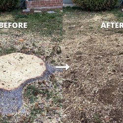 J & M Family Landscaping