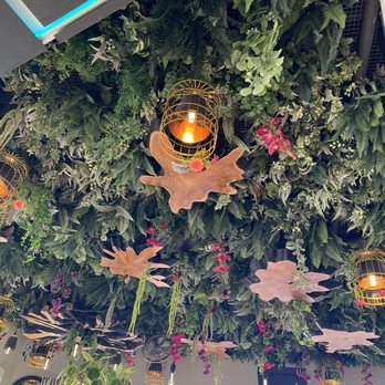 Mandrake Rooftop - Ceiling - Sushi Bars Near Me - Columbus, Ohio