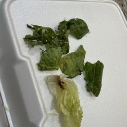 Lettuce