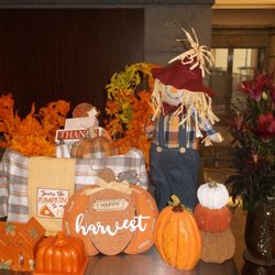Delancey Street Christmas Trees - Fall Display