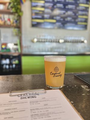 Cerebral Brewing - Congress Park by null