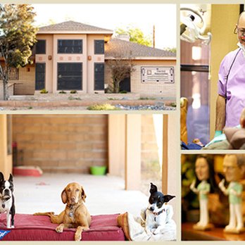 Dental Associates, PA - General Dentistry Near Me - Las Cruces, New Mexico Dental Associates, PA - General Dentistry Near Me - Las Cruces, New Mexico
