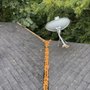 5 Star Gutter Cleaning
