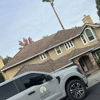 Duarte Tree Service - Tree Services Near Me Duarte Tree Service - Tree Services Near Me