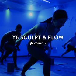 YogaSix - SCULPT & FLOW-Strengthen Yourself. Y6 Sculpt & Flow classes are the perfect blend of yoga and weight training in a warm room.