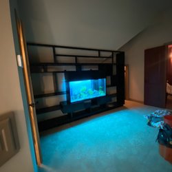 Aquarium Maintenance - Custom aquarium