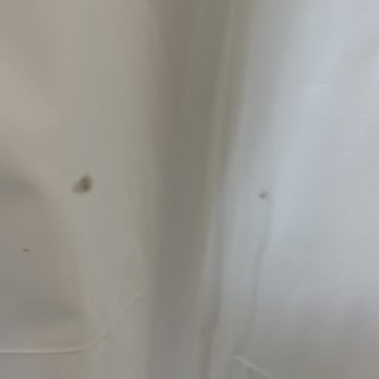 Thomas Beach Vacations - MOLD in n the shower curtain!!! - Property Management Near Me - North Myrtle Beach, South Carolina