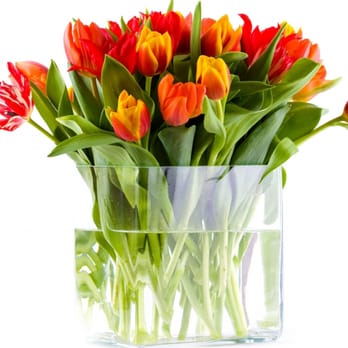 The Monarch Florists - Florists Near Me - Mississauga, Ontario The Monarch Florists - Florists Near Me - Mississauga, Ontario