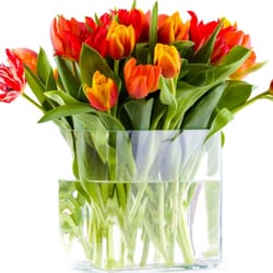 The Monarch Florists