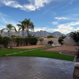 My Backyard!! My Backyard!!