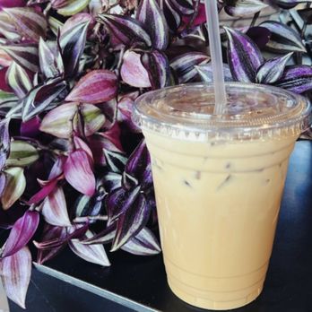 Pause Coffee House - Iced Honey lavender latte with oatmilk - Coffee & Tea Near Me - Fair Oaks, California Pause Coffee House - Iced Honey lavender latte with oatmilk - Coffee & Tea Near Me - Fair Oaks, California