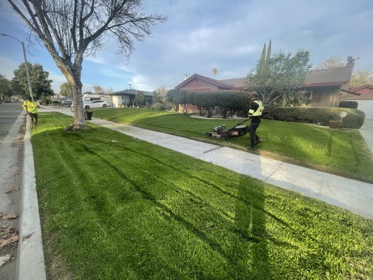 Lawn care - We specialize in caring for your garden, keeping your lawn in a beautiful shape, and giving it a proper cut.