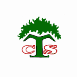 Cassity Tree Service