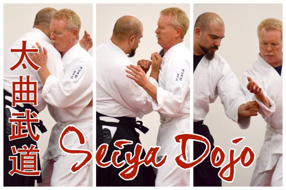 Taikyoku Budo Seiya Dojo Logo