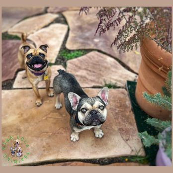 Kona Loca Training - Pet Training Near Me Kona Loca Training - Pet Training Near Me