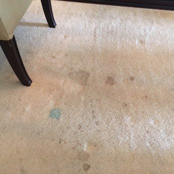 Palmetto Vacation Rentals, Myrtle Beach - Stained carpet - Vacation Rentals Near Me - Myrtle Beach, South Carolina Palmetto Vacation Rentals, Myrtle Beach - Stained carpet - Vacation Rentals Near Me - Myrtle Beach, South Carolina