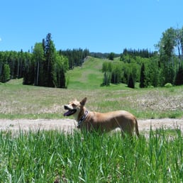 Faye, a natural born hiker, who loves hiking in Colorado!