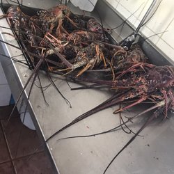 Pescaderia Saldinera - Fresh lobster just caught