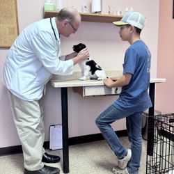 Country Creek Animal Hospital South - Sweetest vet around!