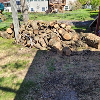 Geo Tree Service - Majority of tree upper crown and limbs cut to firewood lengths. - Tree Services Near Me - Minneapolis, Minnesota Geo Tree Service - Majority of tree upper crown and limbs cut to firewood lengths. - Tree Services Near Me - Minneapolis, Minnesota