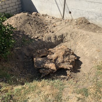 Artistic Tree Services Corp. - The dead tree stump I needed to get removed. - Tree Services Near Me