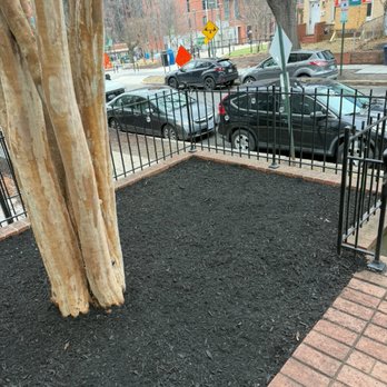 Benitez Landscaping Pro Services - Landscaping Near Me