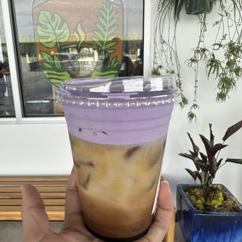 Hilo Coffee Corner - Ube Latte with coconut milk! - Coffee & Tea Near Me - Hilo, Hawaii Hilo Coffee Corner - Ube Latte with coconut milk! - Coffee & Tea Near Me - Hilo, Hawaii