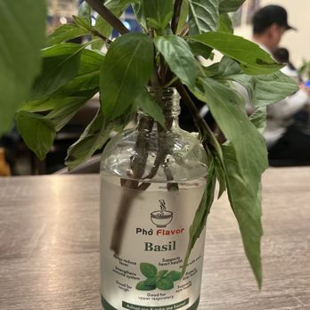 Pho Flavor - Basil - Vietnamese Near Me - Garden Grove, California