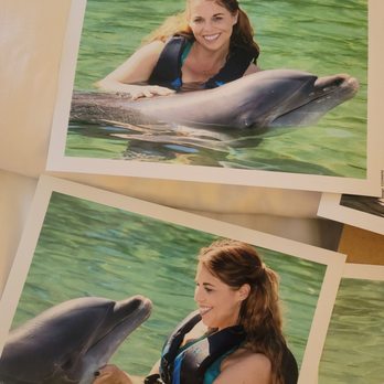 Dolphin Quest - Tours Near Me - Waikoloa, Hawaii Dolphin Quest - Tours Near Me - Waikoloa, Hawaii