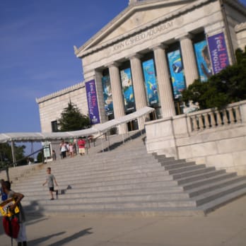 Field Museum - The Field Museum. - Museums Near Me - Chicago, Illinois Field Museum - The Field Museum. - Museums Near Me - Chicago, Illinois