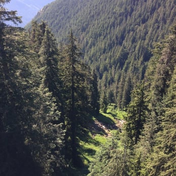 Grouse Mountain - View from the ski lift - Hiking Near Me - North Vancouver, British Columbia