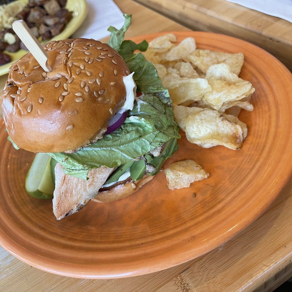 Grilled Chicken Sandwich Grilled Chicken Sandwich