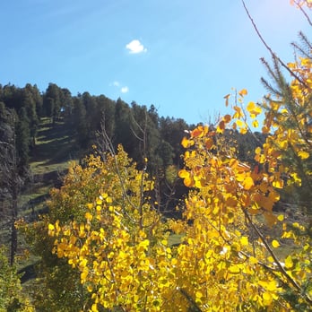 Mt Lemmon - Hiking Near Me
