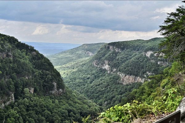 Cloudland Canyon State Park by null