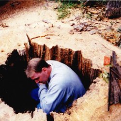 Cumberland Tree Service