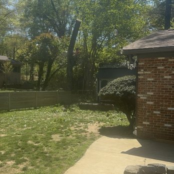 Knock'Em Down Tree Service - Not much left of her - Tree Services Near Me Knock'Em Down Tree Service - Not much left of her - Tree Services Near Me