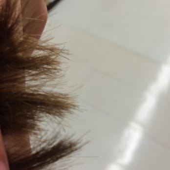 Cut-N-Shoot Hair Studio - SPLIT ENDS!!!!!! - Hair Salons Near Me - Austin, Texas Cut-N-Shoot Hair Studio - SPLIT ENDS!!!!!! - Hair Salons Near Me - Austin, Texas