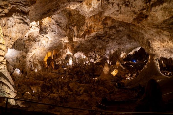 Carlsbad Caverns National Park by null