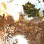 Photo of Sandpiper Buffet