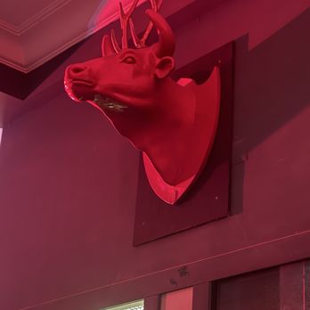 Bar of Soap - Photo 8: Moose head - Bars Near Me - Porto, 13