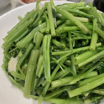 金品茶楼>