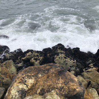 Salinas River State Beach - All the muscles exposed. - Beaches Near Me Salinas River State Beach - All the muscles exposed. - Beaches Near Me