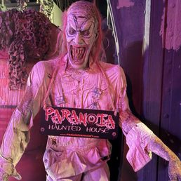 Mr. Paranoia