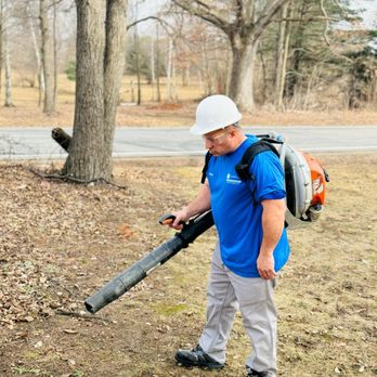 A 1 Service - Debris removal in Dansville, MI. - Lawn Services Near Me A 1 Service - Debris removal in Dansville, MI. - Lawn Services Near Me