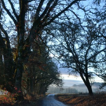 William L. Finley Wildlife Refuge - 12/2/18 auto tour - Parks Near Me - Monroe, Oregon William L. Finley Wildlife Refuge - 12/2/18 auto tour - Parks Near Me - Monroe, Oregon