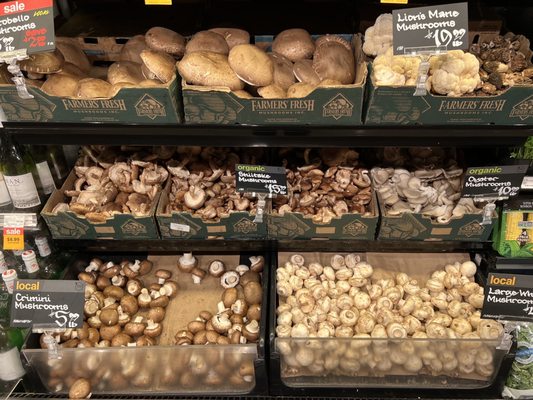 Metropolitan Market by null